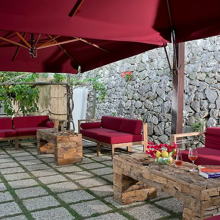 Otel Wine 3*