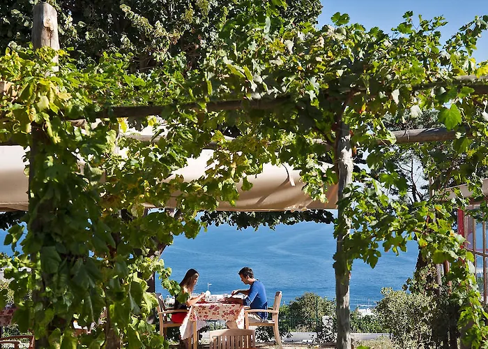 卡普里红酒酒店 3*