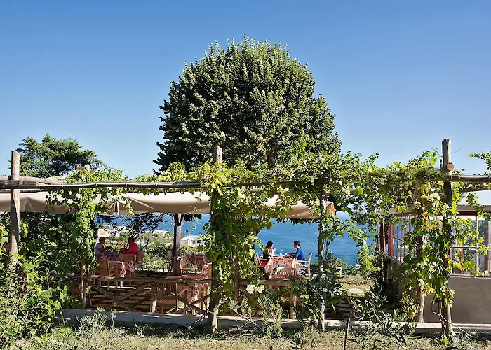 卡普里红酒酒店