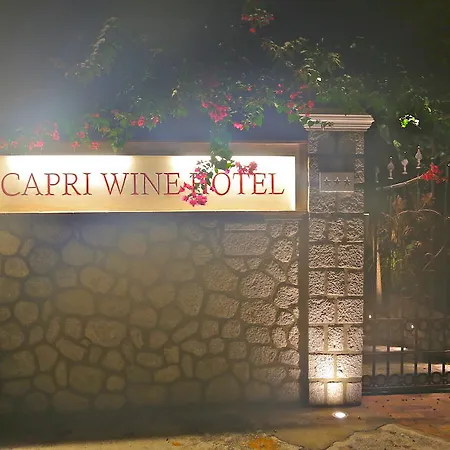 Wine 3* Κάπρι
